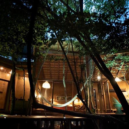 Ojo De Arbol, Boutique Cabin In The Real Jungle تولوم المظهر الخارجي الصورة