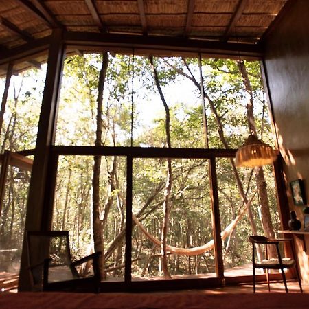 Ojo De Arbol, Boutique Cabin In The Real Jungle تولوم المظهر الخارجي الصورة