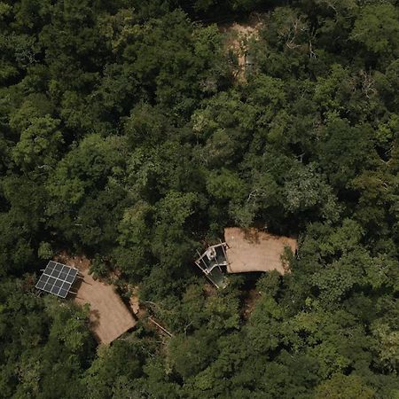 Ojo De Arbol, Boutique Cabin In The Real Jungle تولوم المظهر الخارجي الصورة