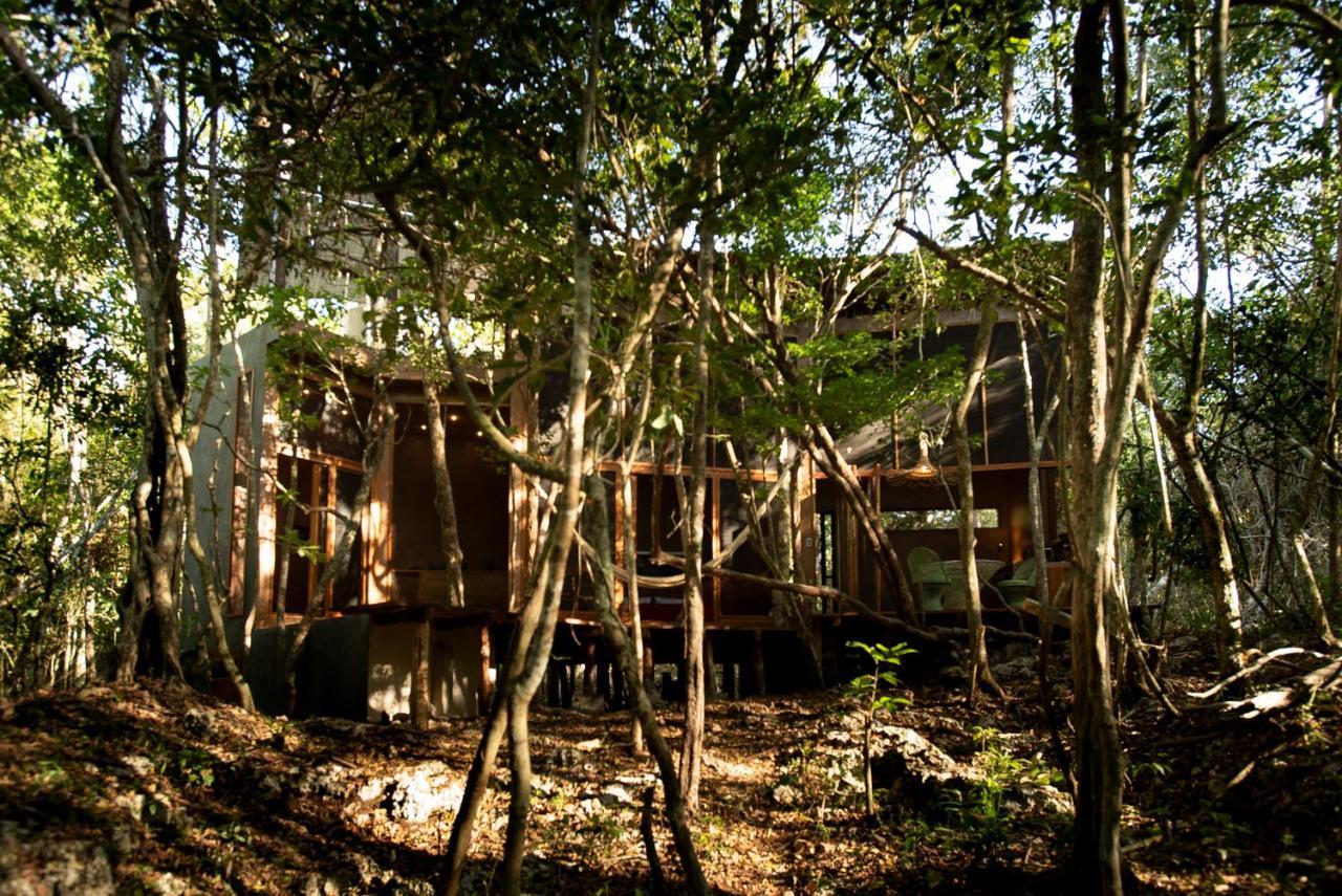 Ojo De Arbol, Boutique Cabin In The Real Jungle تولوم المظهر الخارجي الصورة