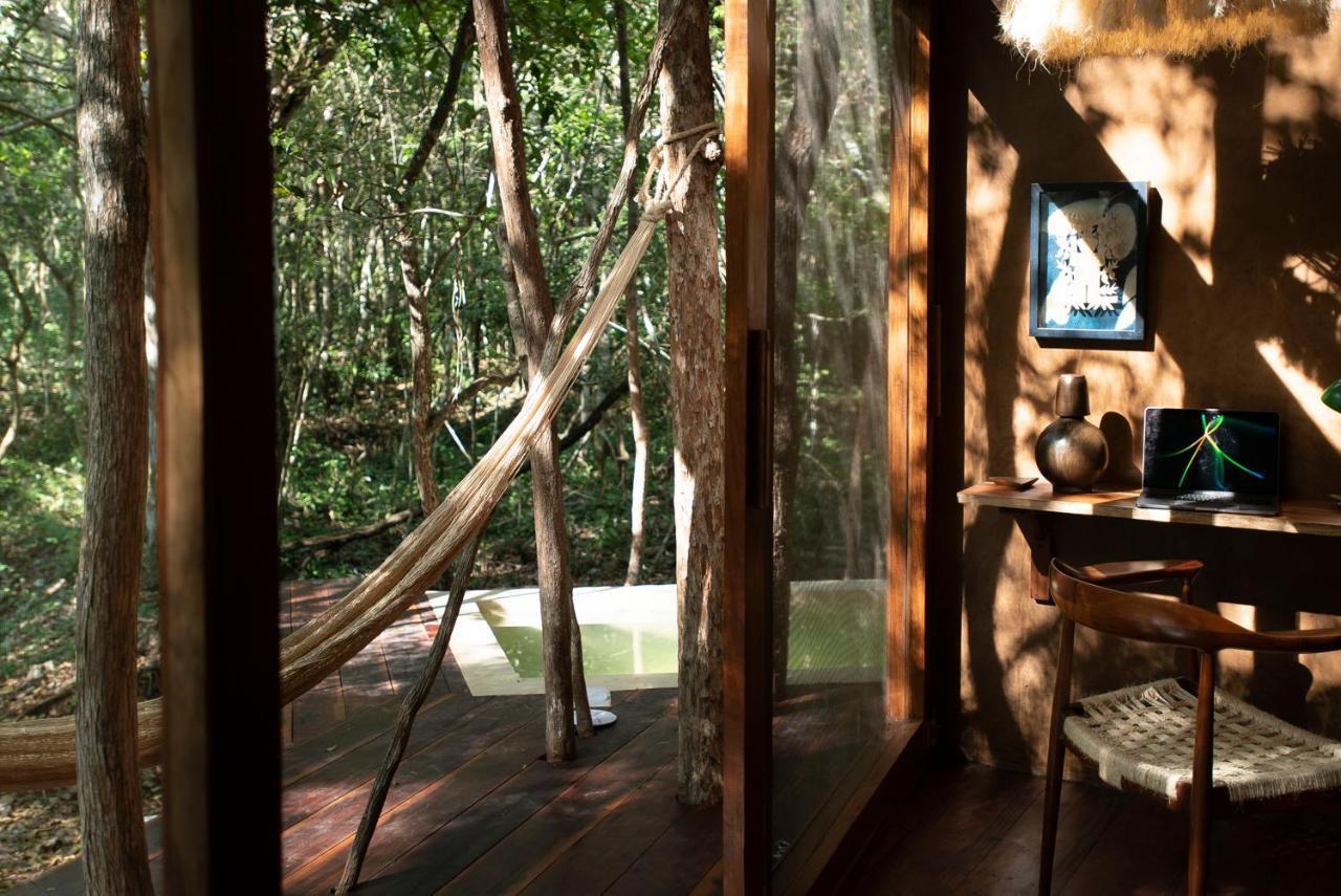 Ojo De Arbol, Boutique Cabin In The Real Jungle تولوم المظهر الخارجي الصورة