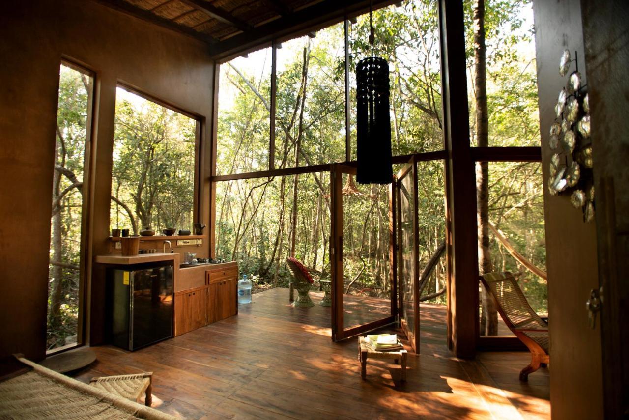 Ojo De Arbol, Boutique Cabin In The Real Jungle تولوم المظهر الخارجي الصورة
