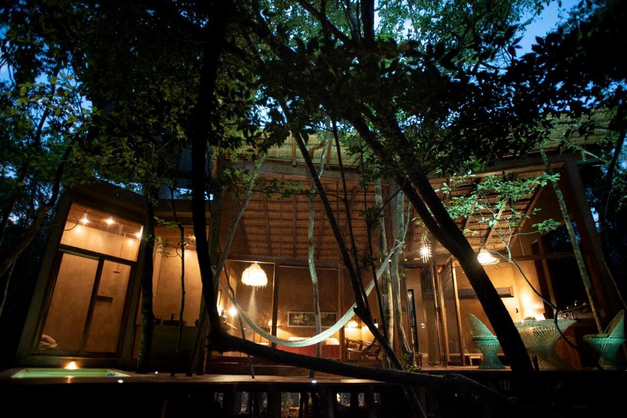 Ojo De Arbol, Boutique Cabin In The Real Jungle تولوم المظهر الخارجي الصورة