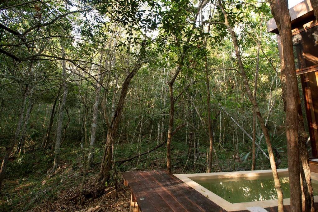 Ojo De Arbol, Boutique Cabin In The Real Jungle تولوم المظهر الخارجي الصورة