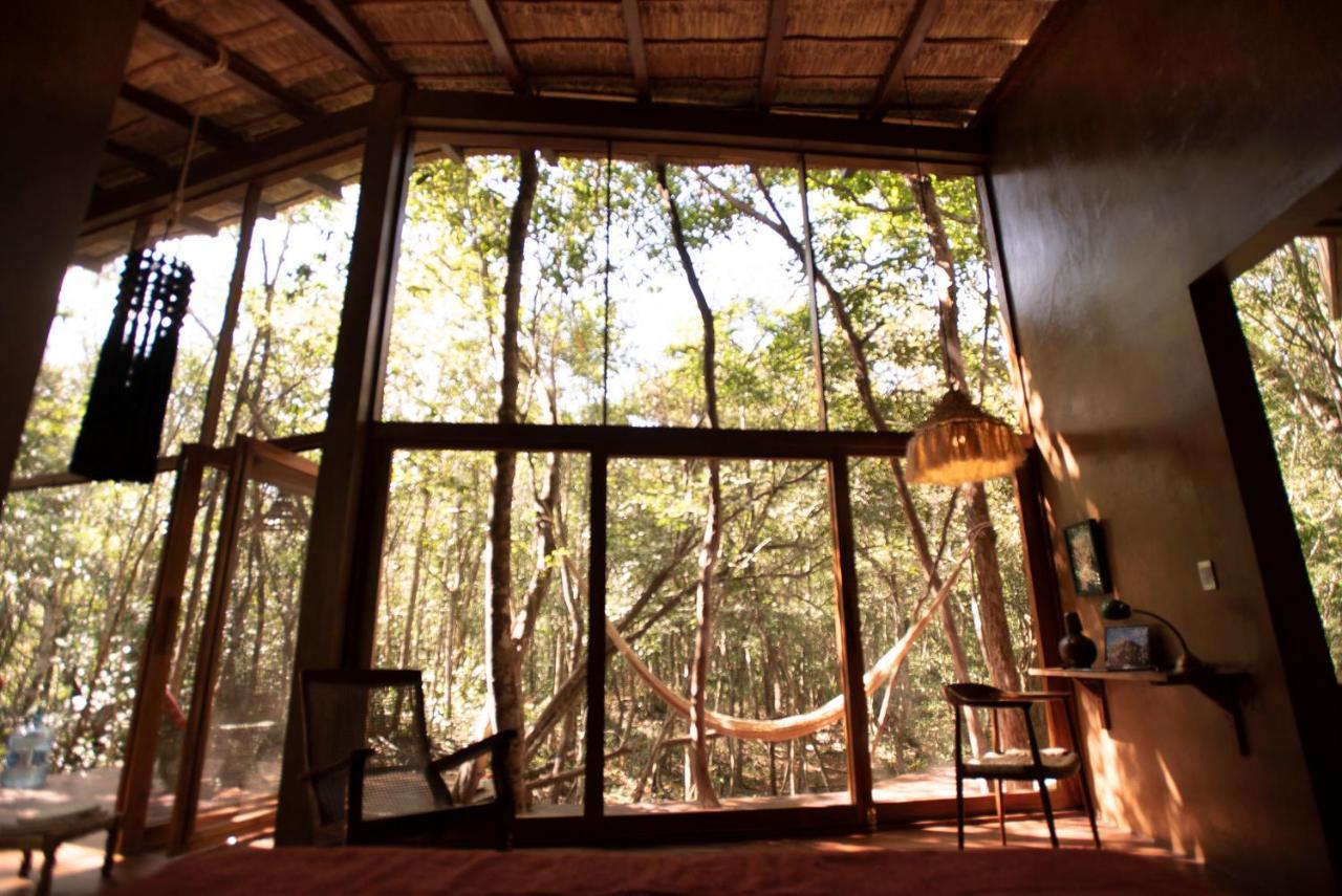 Ojo De Arbol, Boutique Cabin In The Real Jungle تولوم المظهر الخارجي الصورة