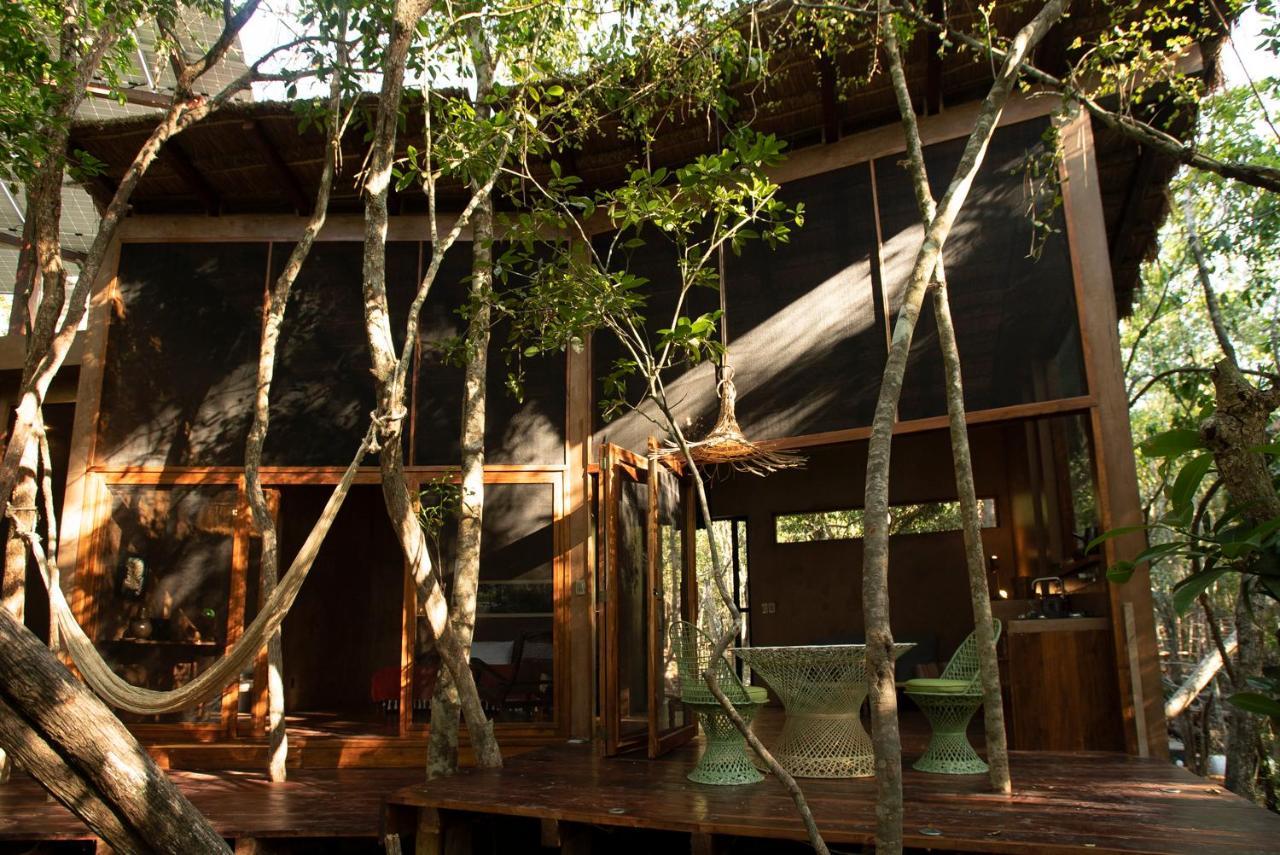 Ojo De Arbol, Boutique Cabin In The Real Jungle تولوم المظهر الخارجي الصورة