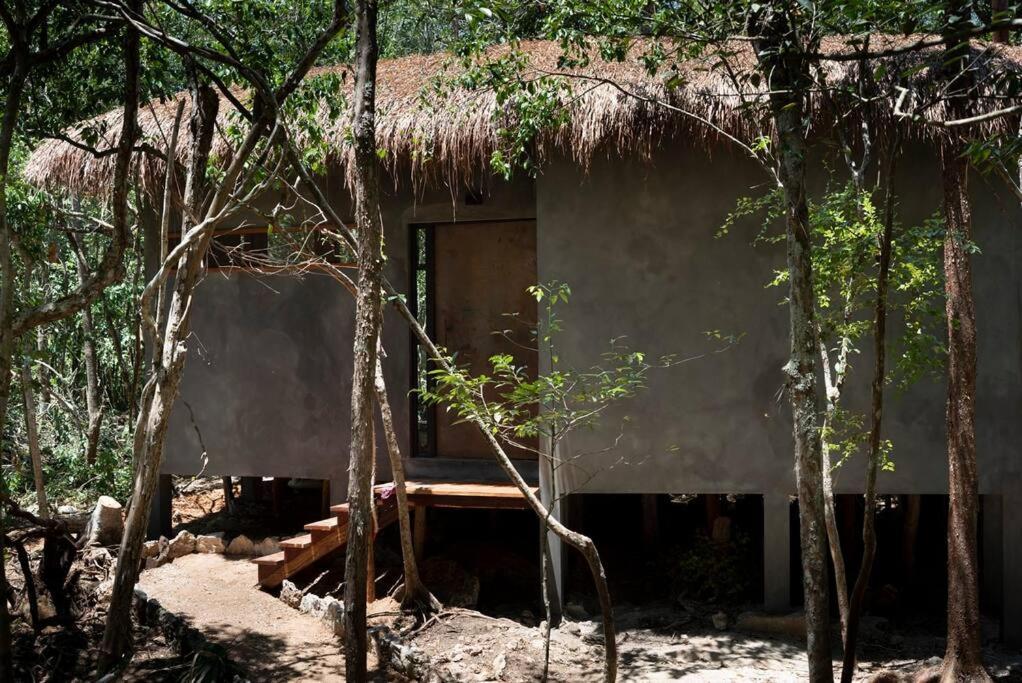 Ojo De Arbol, Boutique Cabin In The Real Jungle تولوم المظهر الخارجي الصورة
