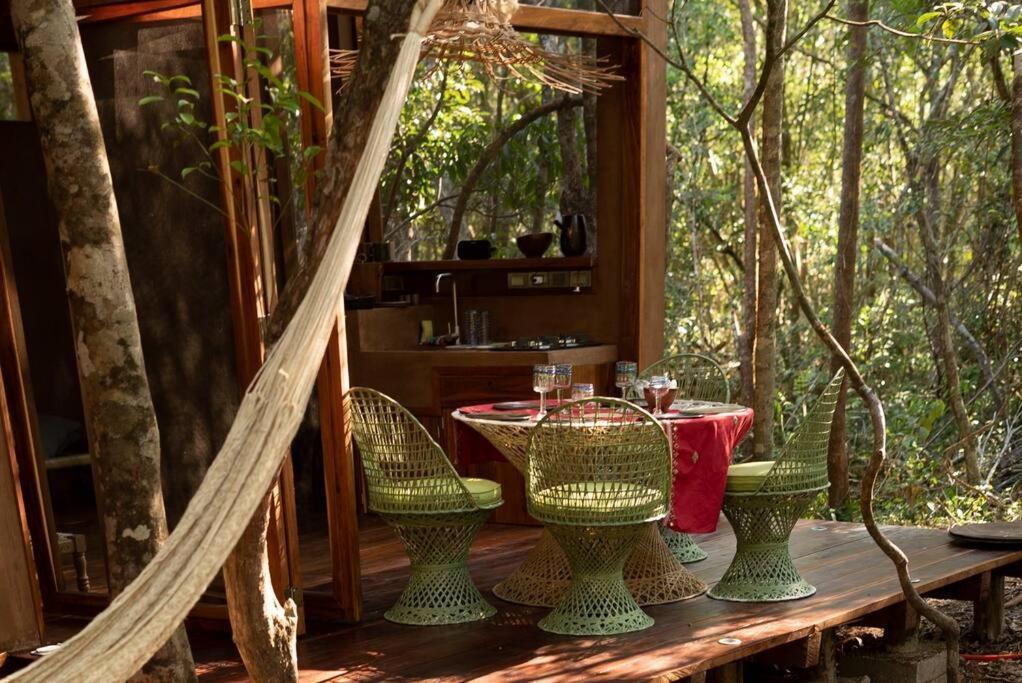Ojo De Arbol, Boutique Cabin In The Real Jungle تولوم المظهر الخارجي الصورة