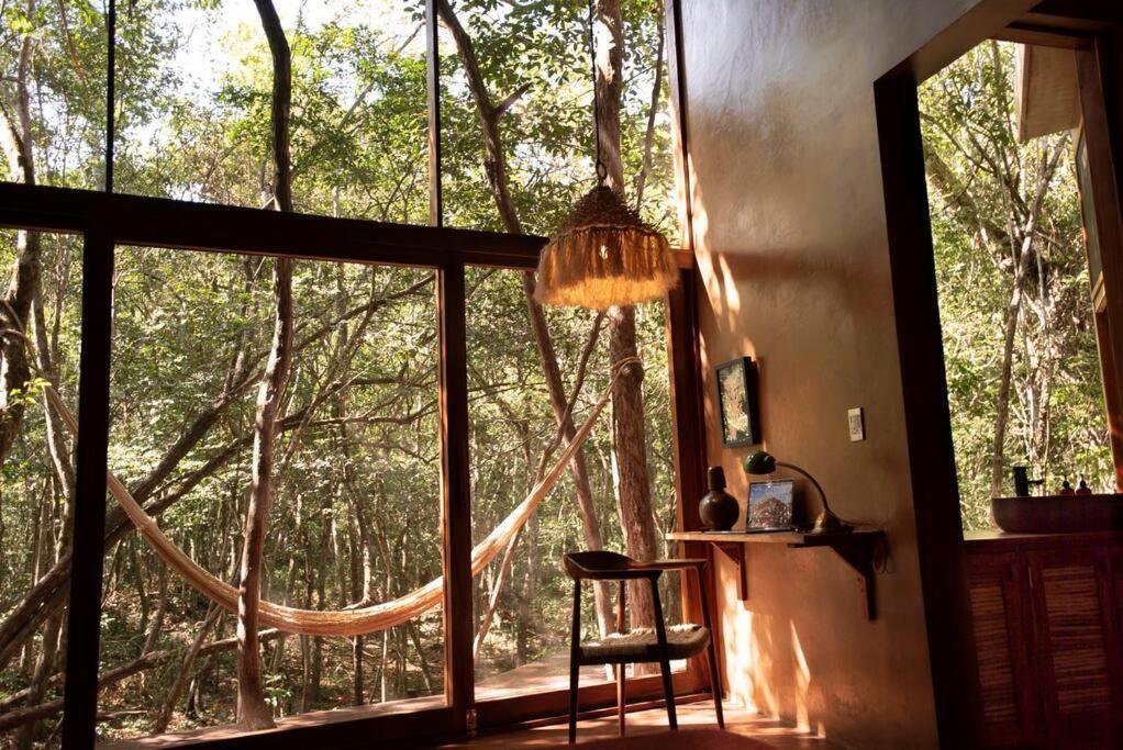 Ojo De Arbol, Boutique Cabin In The Real Jungle تولوم المظهر الخارجي الصورة