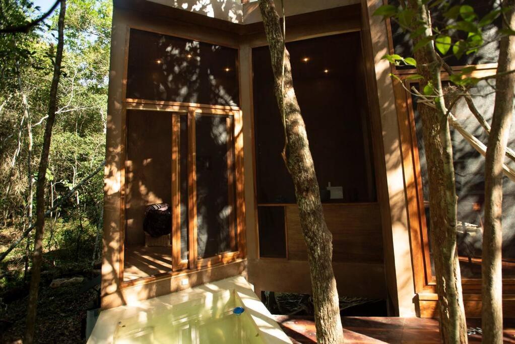 Ojo De Arbol, Boutique Cabin In The Real Jungle تولوم المظهر الخارجي الصورة