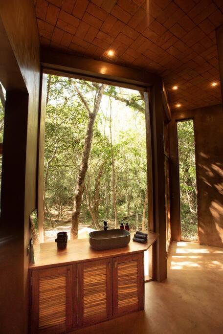 Ojo De Arbol, Boutique Cabin In The Real Jungle تولوم المظهر الخارجي الصورة