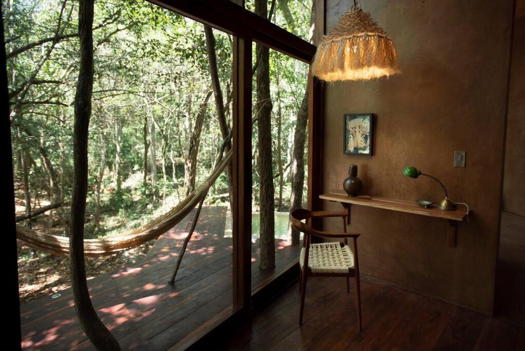 Ojo De Arbol, Boutique Cabin In The Real Jungle تولوم المظهر الخارجي الصورة