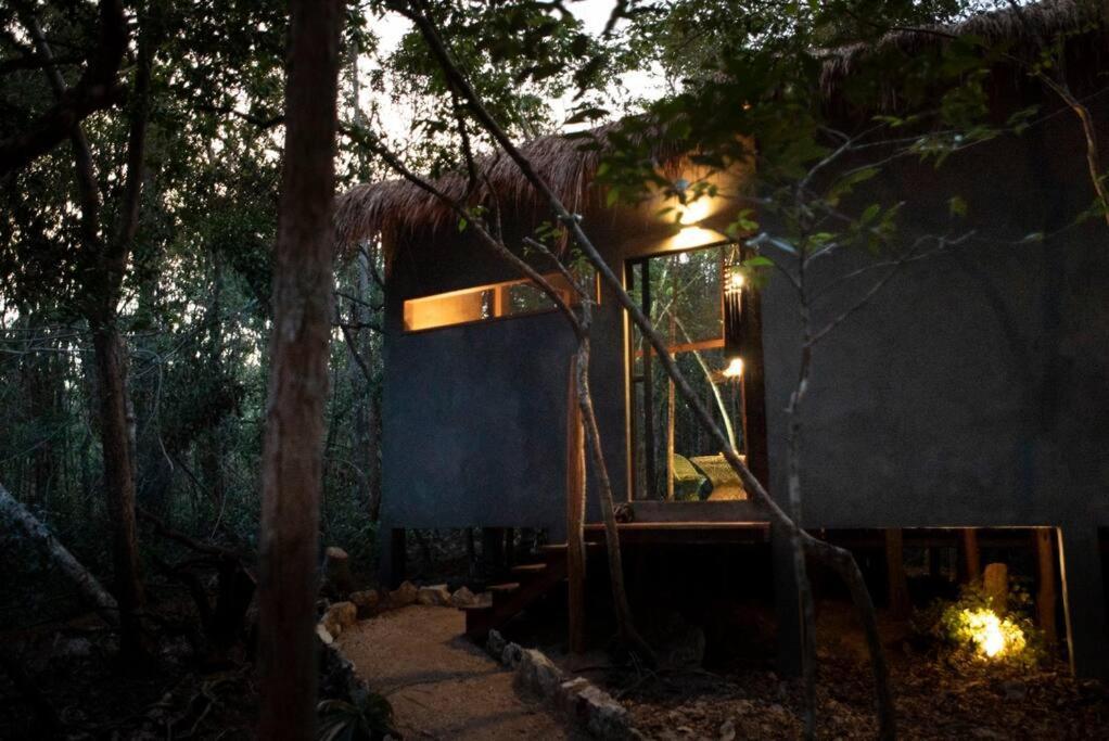 Ojo De Arbol, Boutique Cabin In The Real Jungle تولوم المظهر الخارجي الصورة