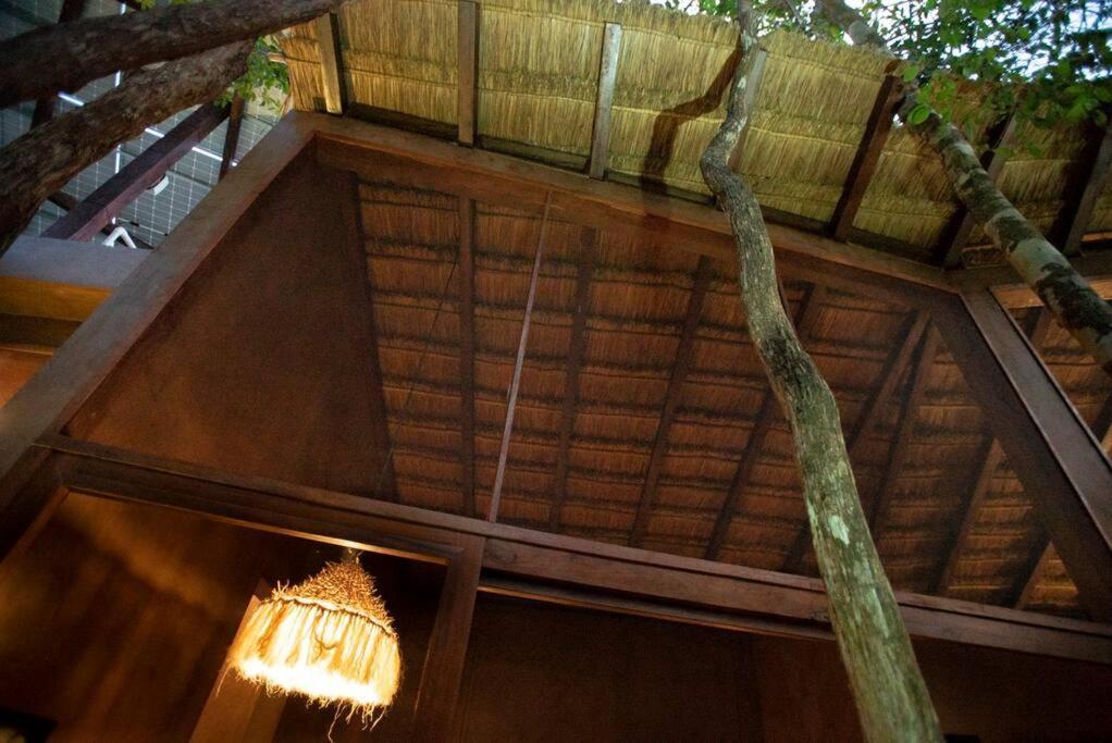 Ojo De Arbol, Boutique Cabin In The Real Jungle تولوم المظهر الخارجي الصورة