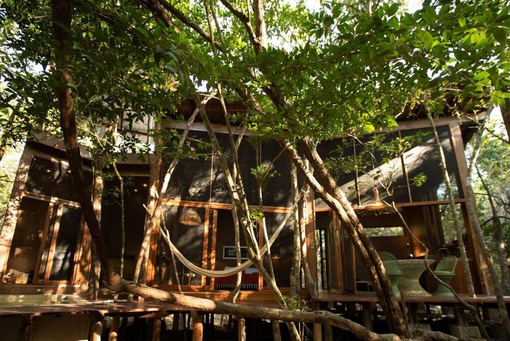 Ojo De Arbol, Boutique Cabin In The Real Jungle تولوم المظهر الخارجي الصورة