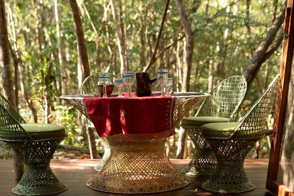 Ojo De Arbol, Boutique Cabin In The Real Jungle تولوم المظهر الخارجي الصورة