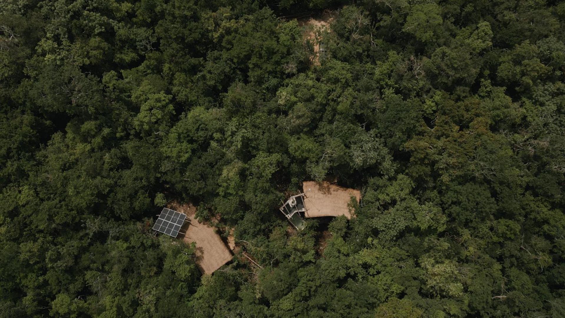 Ojo De Arbol, Boutique Cabin In The Real Jungle تولوم المظهر الخارجي الصورة